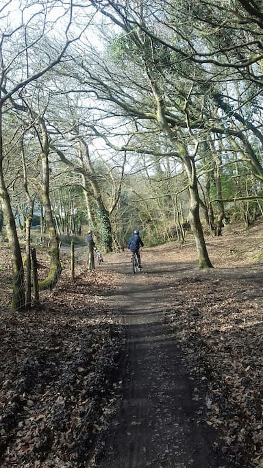 Woodland Walks Treguth Glamping