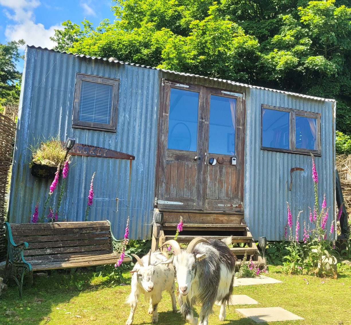 Dreckly Treguth Glamping