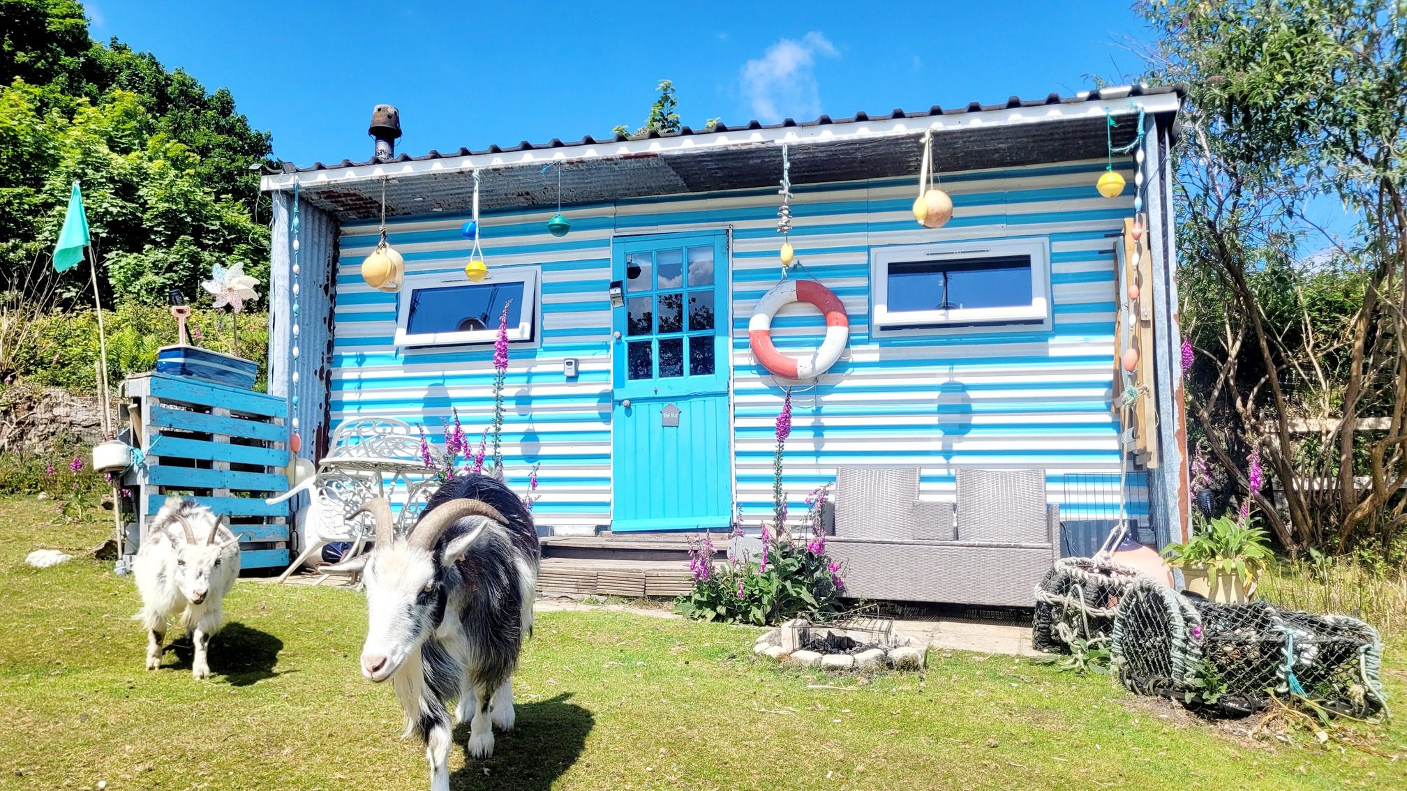 The Hut at Treguth Glamping