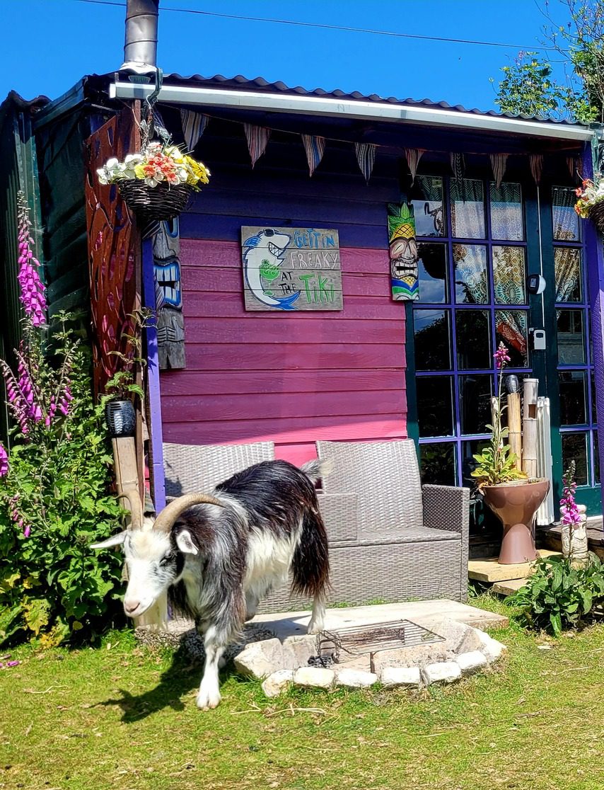 The Tiki Shack at Treguth Glamping