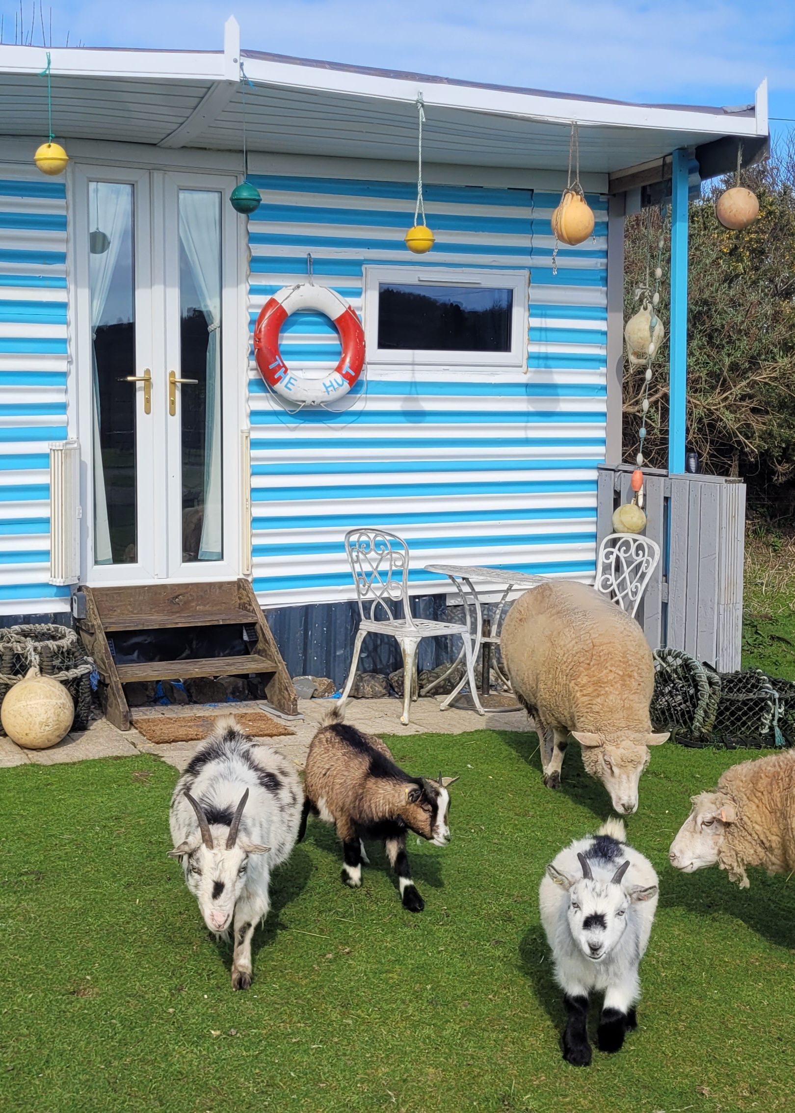 The Hut at Treguth Glamping Cornwall