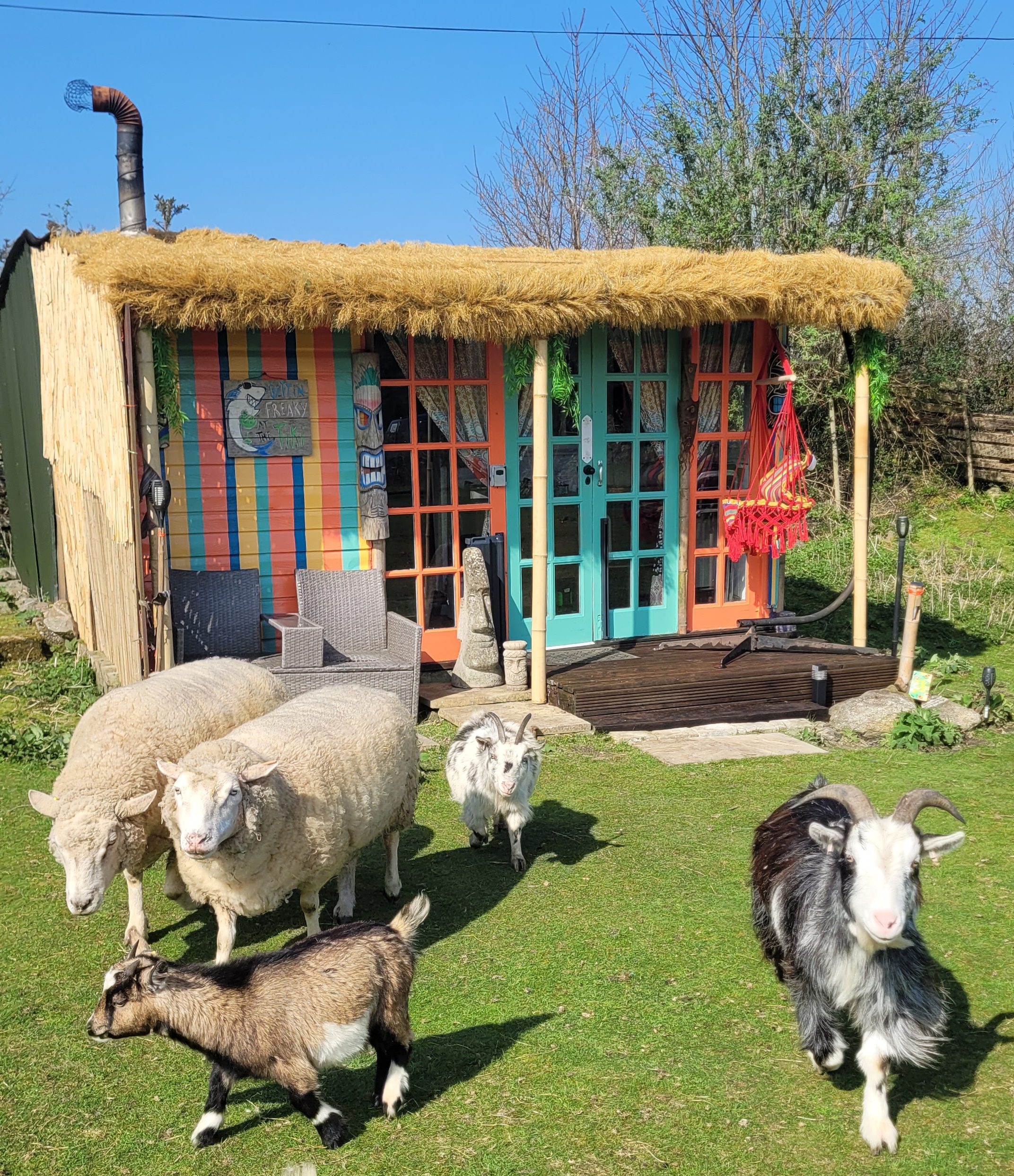 The Tiki Shack at Treguth Glamping Cornwall